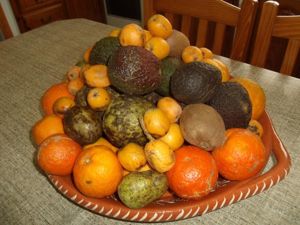 Tropical Fruit Garden Hotel Velas Buitenkant foto